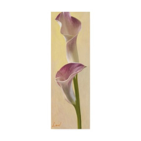 Pablo Esteban 'Pink Floral Bell 2' Canvas Art,6x19